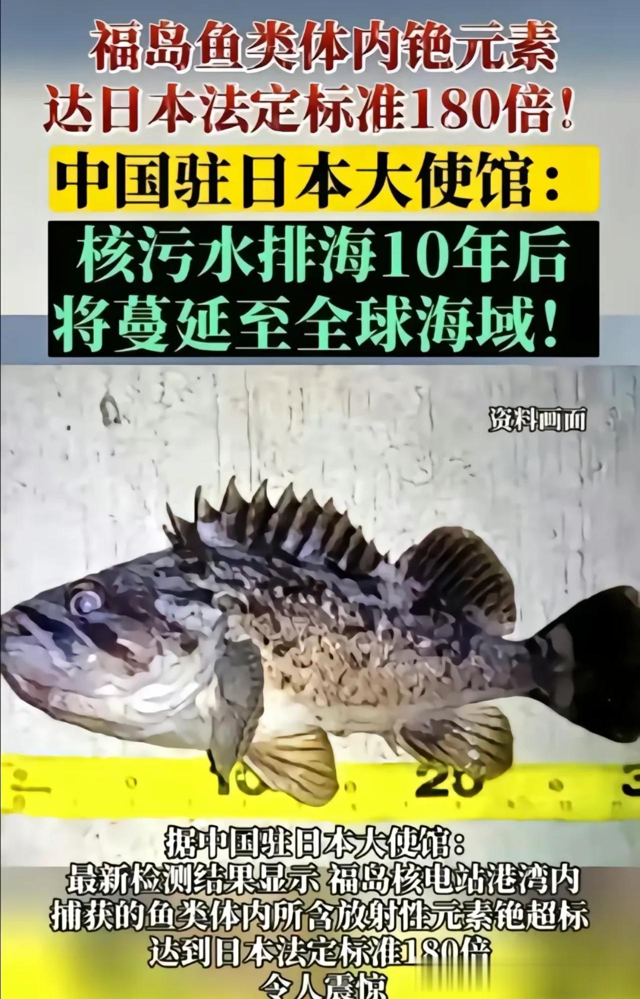 核污染排放两天污染就开始了吗？

有人发出皮皮虾受到感染后的图片，看着真的挺让人