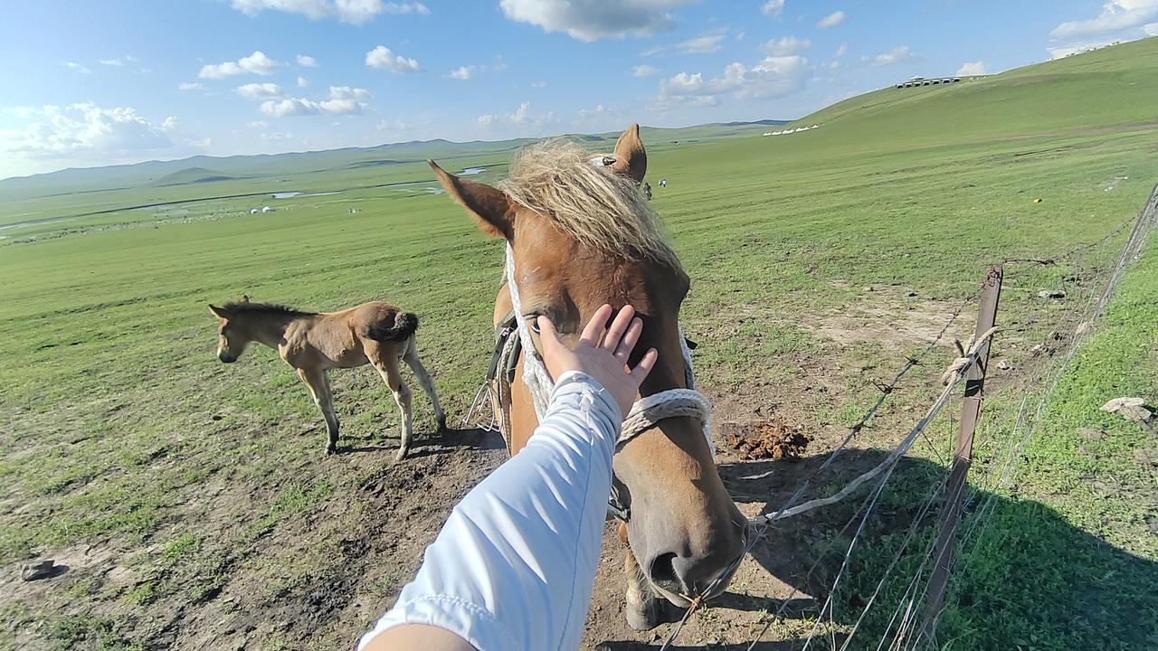 呼伦贝尔正是旅游季，你来吗？
这里不是空调房里的将就，而是天地之间的自由。一脚踏