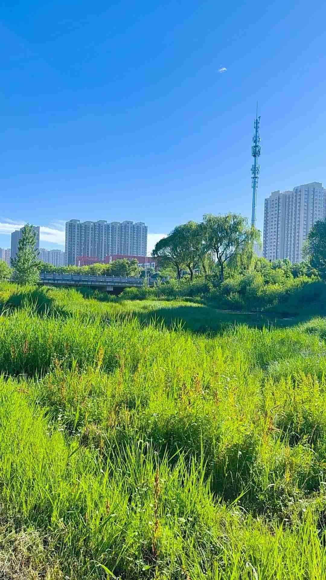 我的今日状态：😁轻松愉快
我这里的天气：🌤️多云