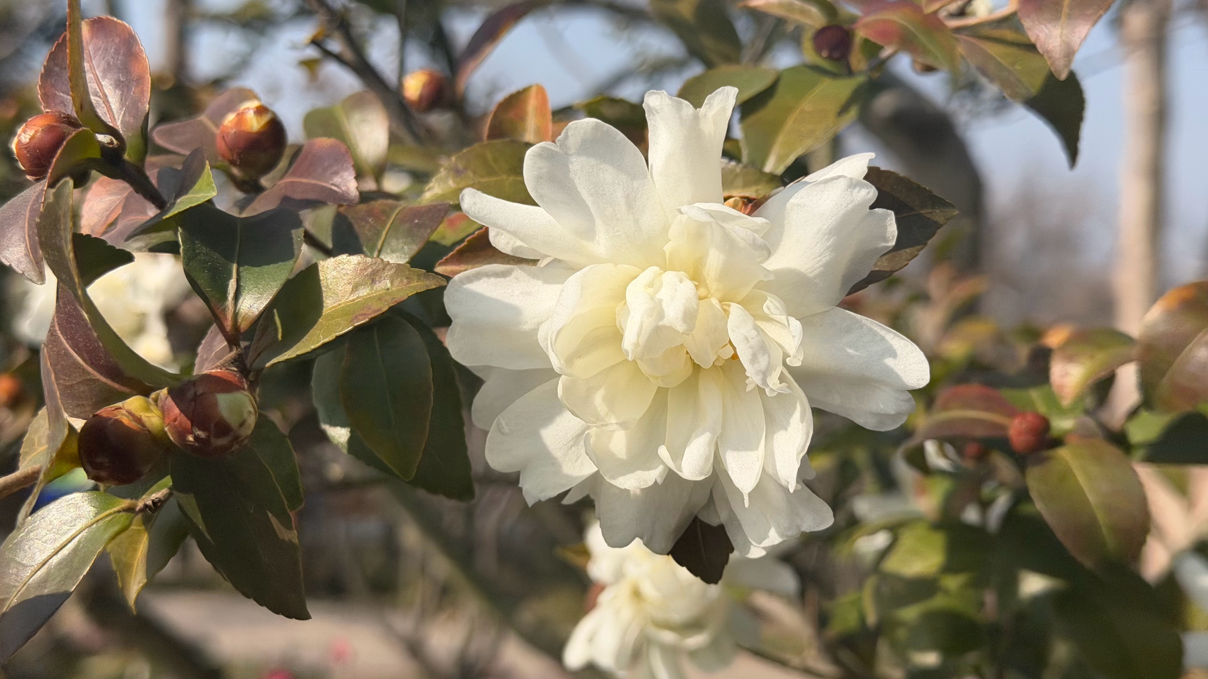 于适yosh 抢到了路演票，我会永远支持最站！，退了上海返回的机票，退了上海酒店