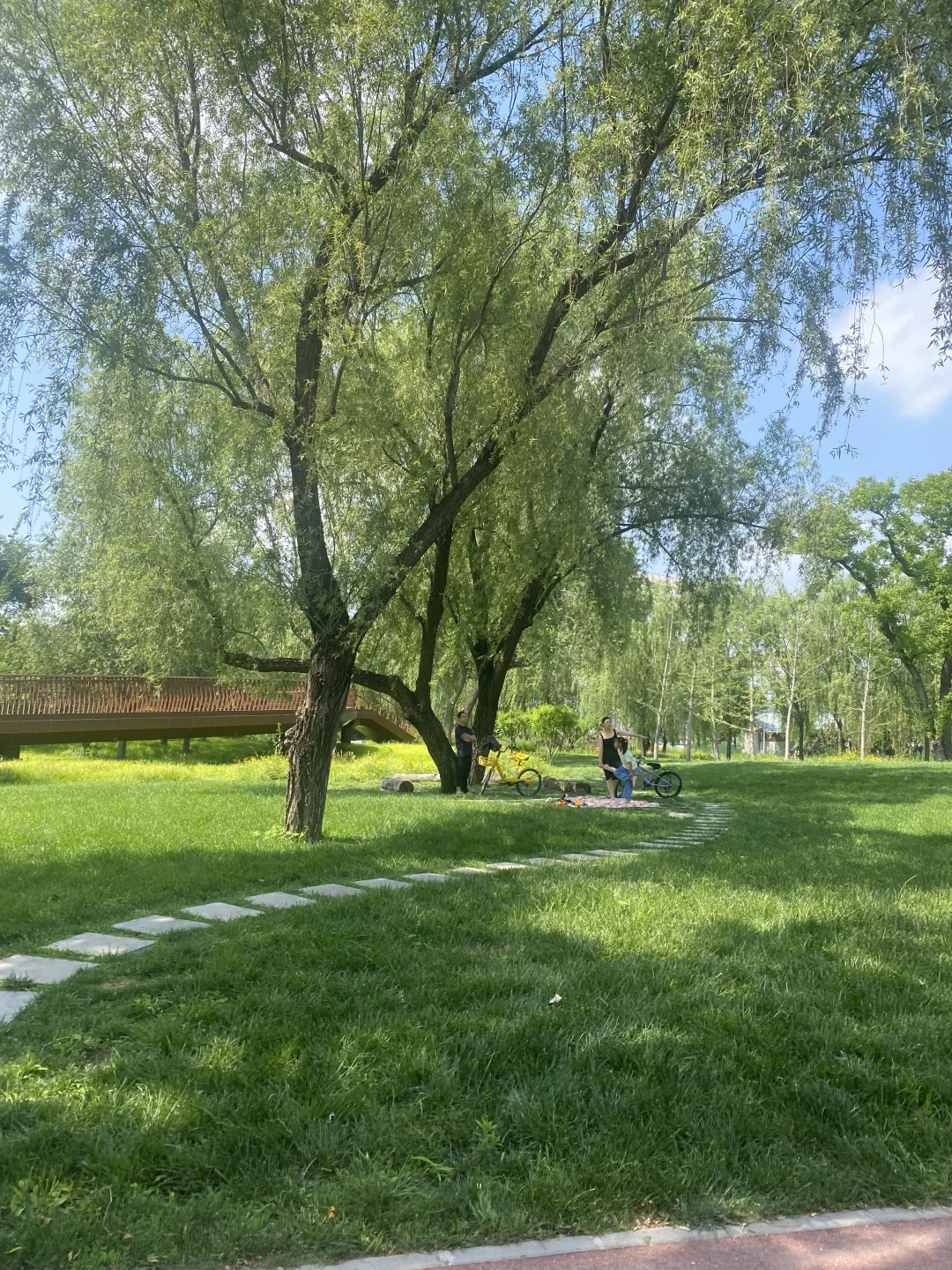 终于懂了，公园里就是会呼吸的绿意🍃