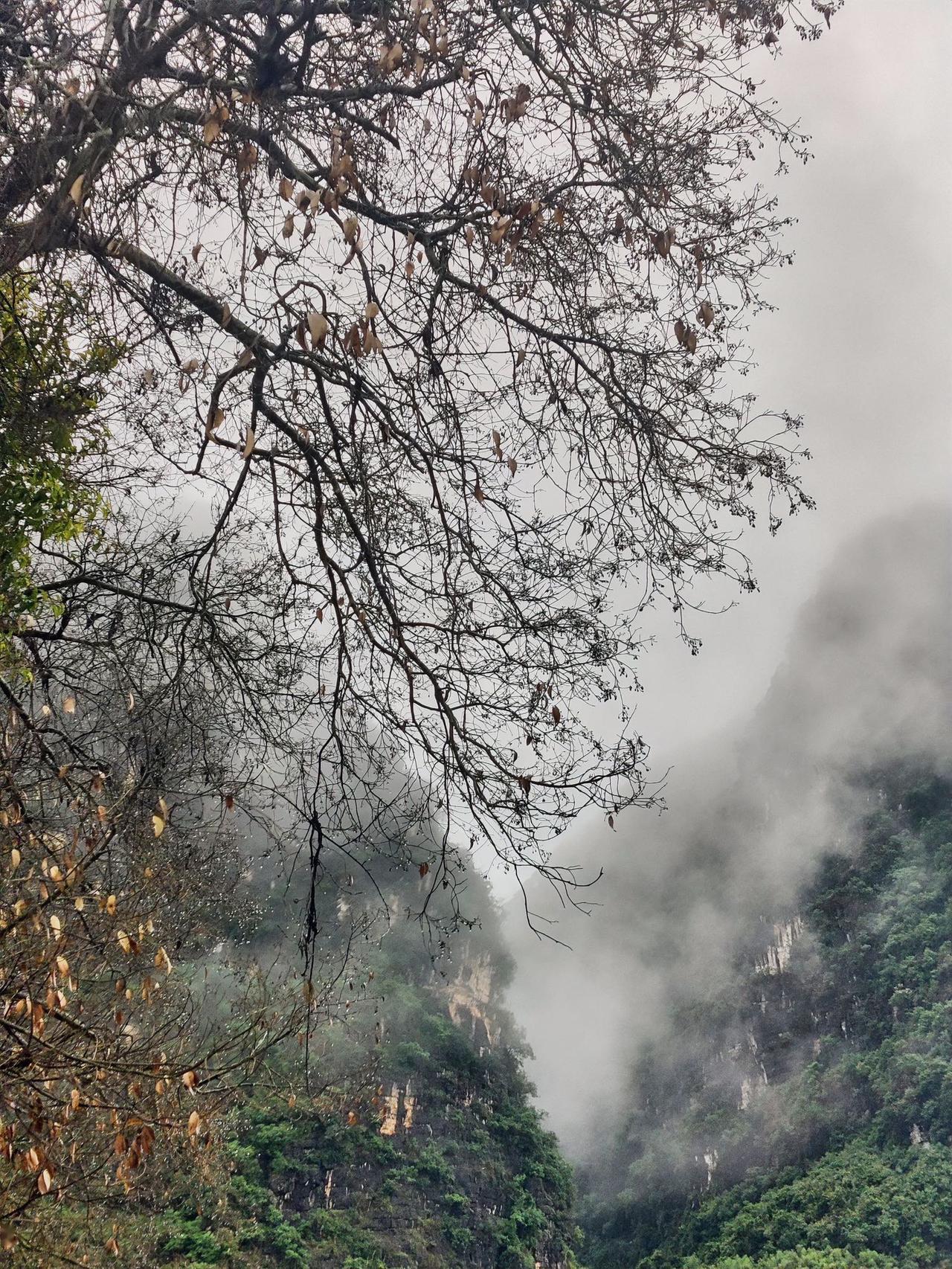 月落一江水；
雾隐半爿天。