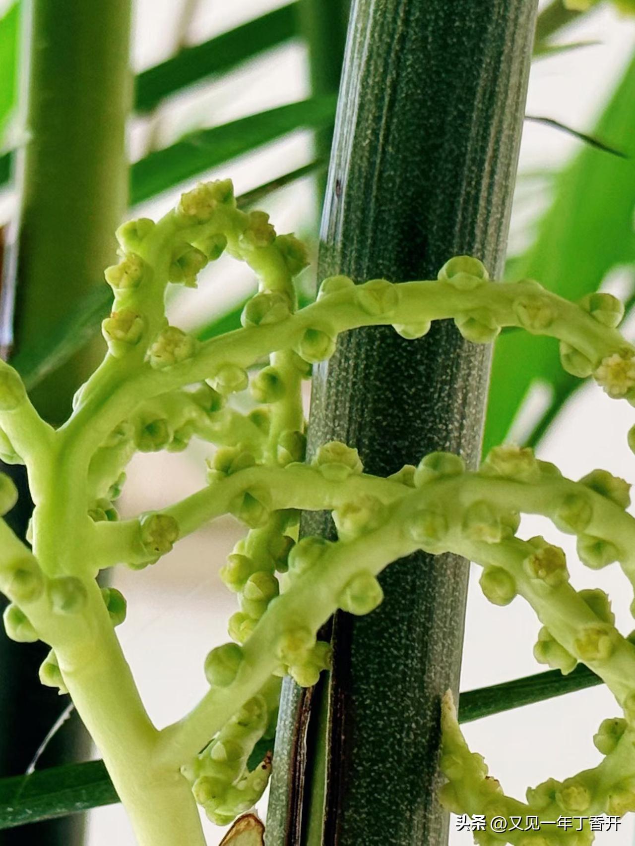 我没找到2026年社保调整的准确消息

已经涨了三次了，没有最开始的那种望眼欲穿