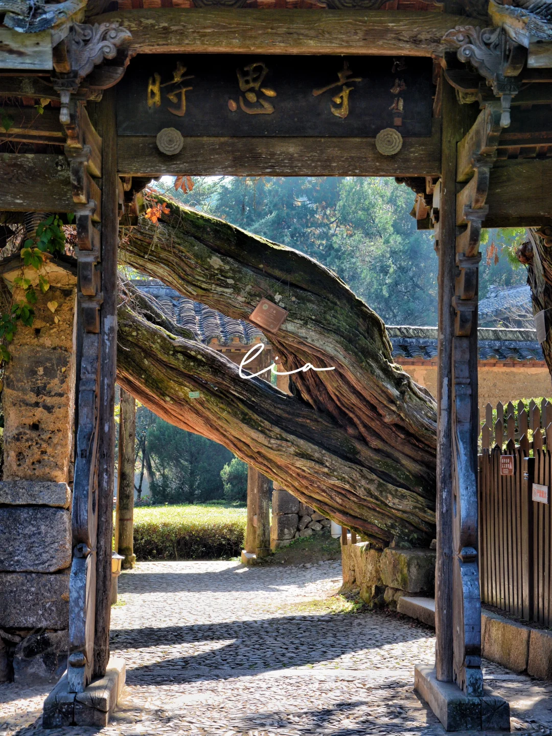 浙江 丽水 时思寺