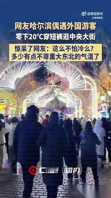 零下20度的哈尔滨，大街上，走过来几个光着大腿的活人。
我看着自己身上这条加绒加