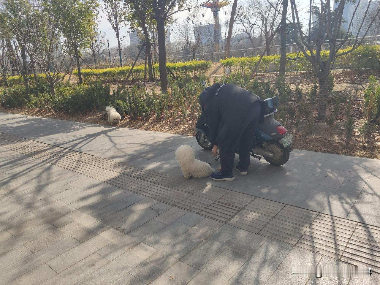 现在人的生活确实提高了！今天在郑州人民公园北边的金水路上，看到一个老先生正给自己