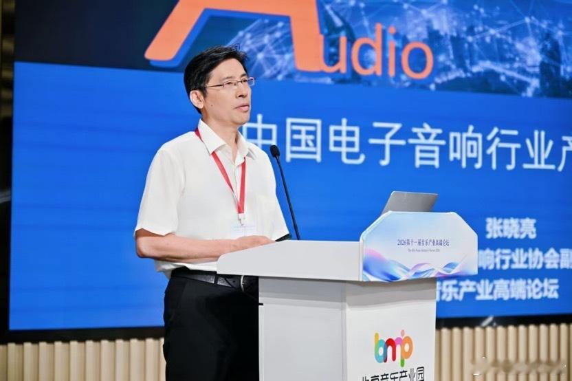 2026音乐产业与国风发展报告 中国电子音响行业协会副秘书长张晓亮出席论坛并发言