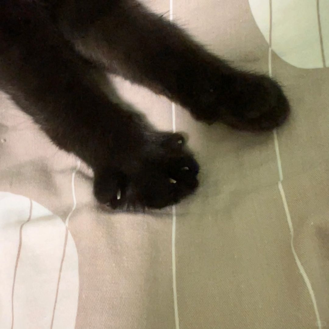 刚吃了个人，正在用床单擦脚