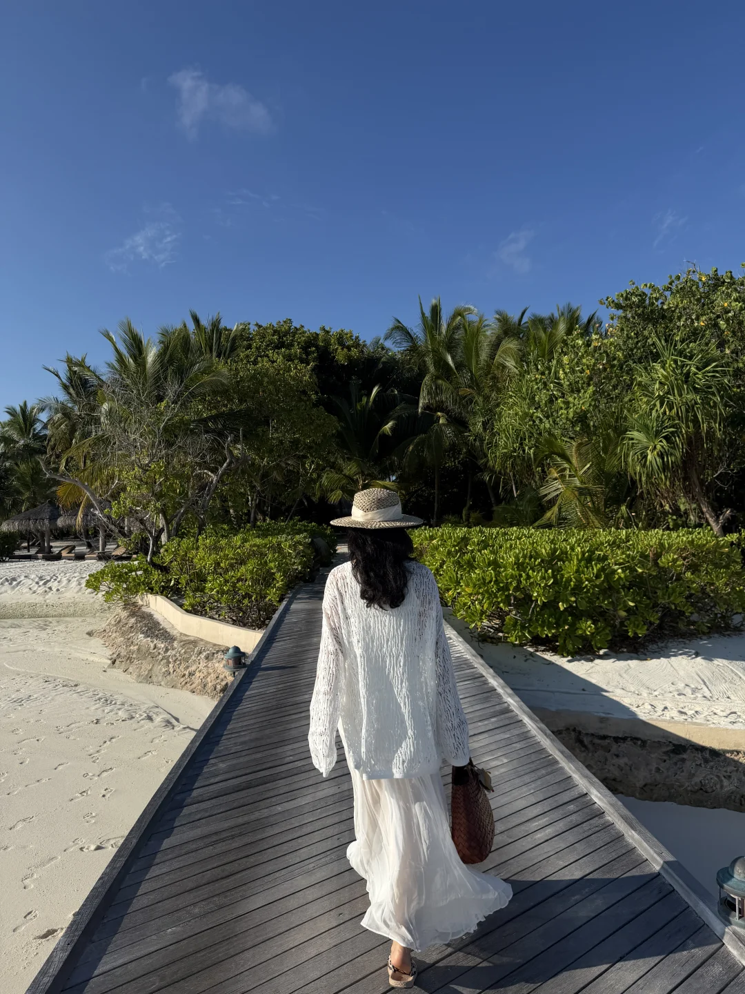 马尔代夫魔富士𝘔𝘰𝘰𝘧𝘶𝘴𝘩𝘪🐡🐠🩵