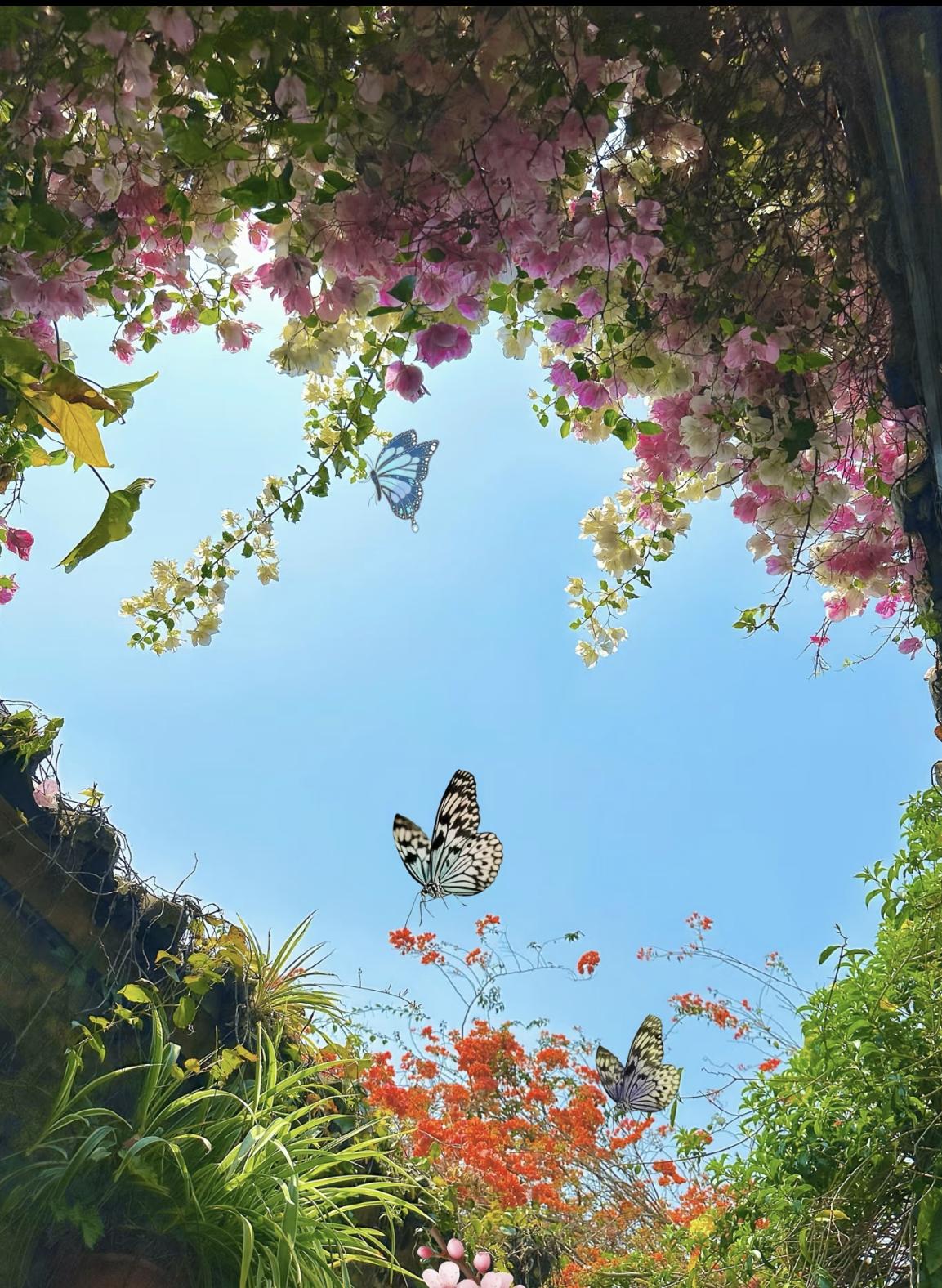 人到了中年，
最大的心酸，
是活成了所有人的靠山，
唯独自己没有退路。
 
前几