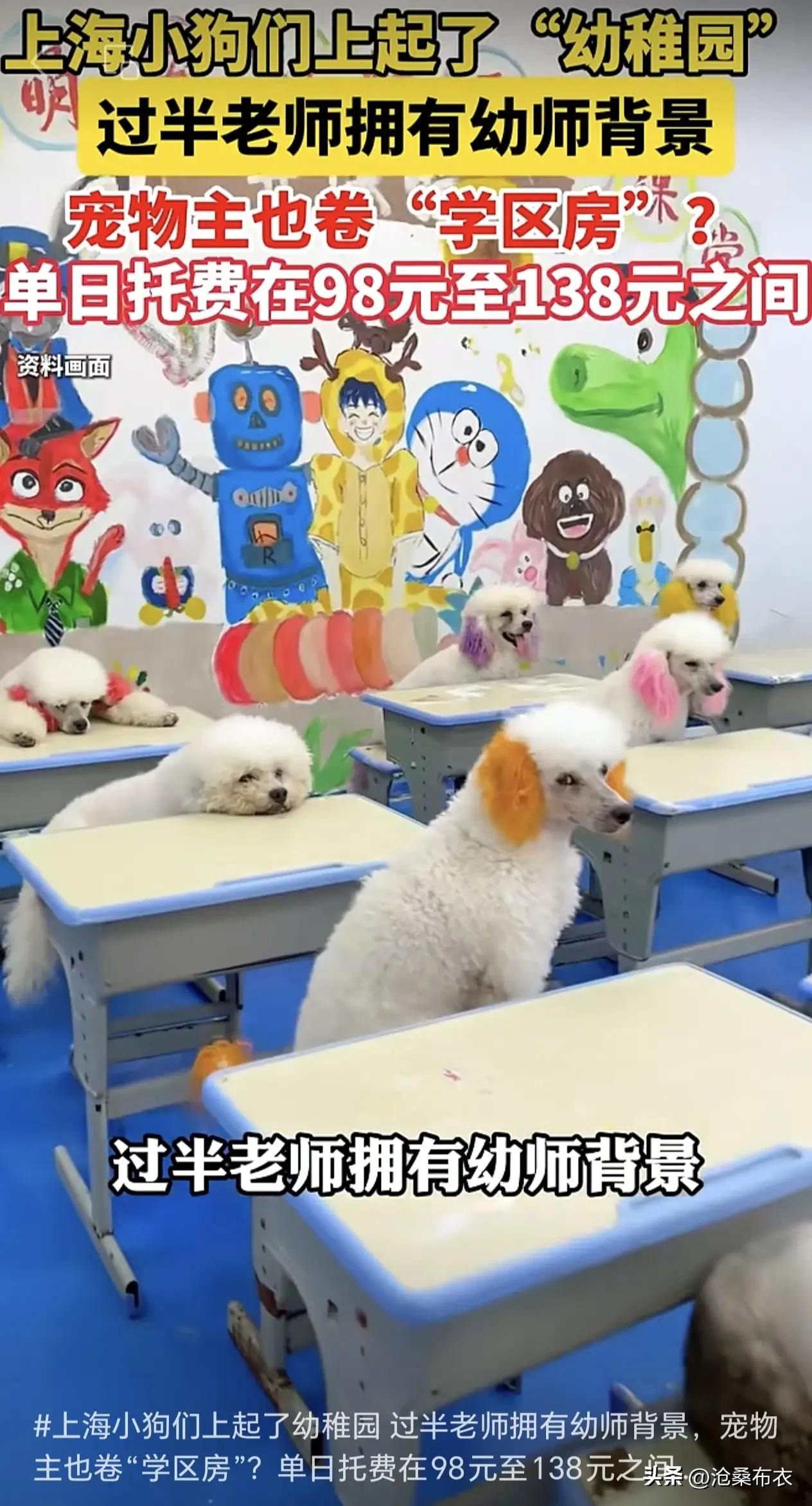 上海的“狗狗幼稚园”火了，有95后花1.2元送狗狗进“幼稚园”。上海人真有爱心，