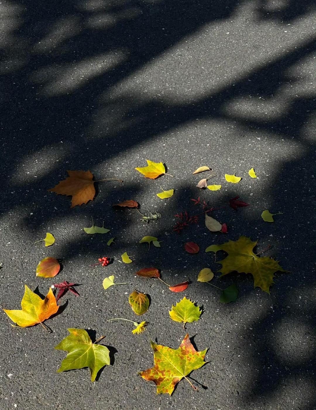 天天早八打卡，晚九才回家，工资不多，但饭钱自己掏。
不靠爸妈接济，不伸手问朋友借