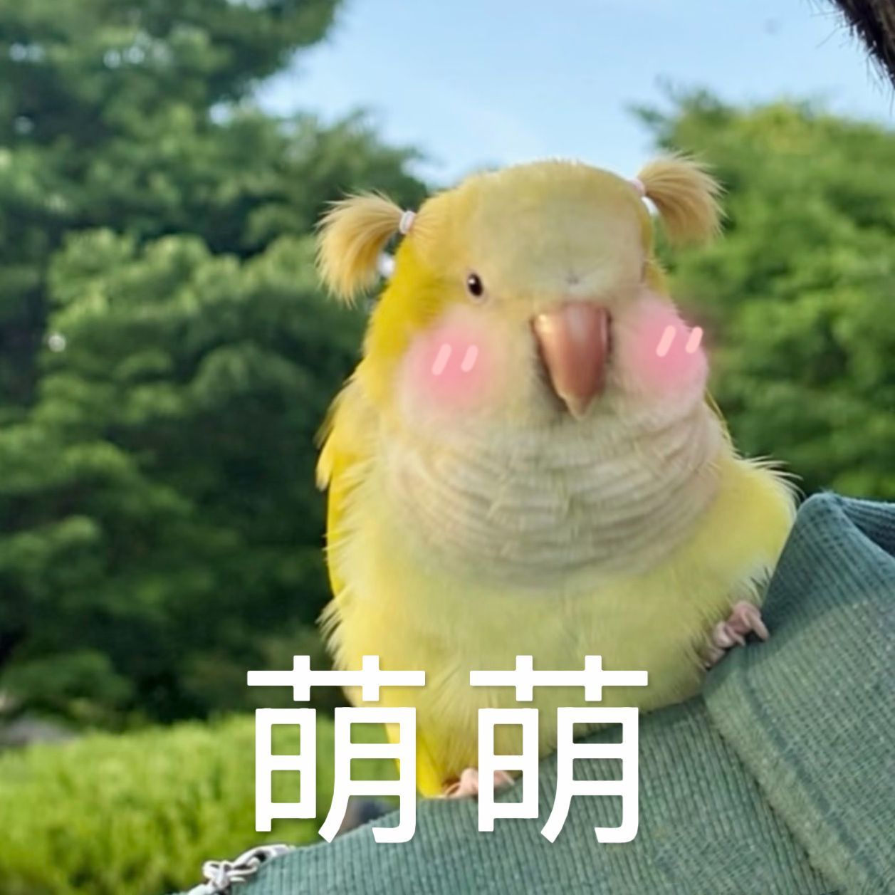 ▶周末修图计划📝📝📝▷预告：任素素、甄嘉芙、暮晚摇▷楚朝：修完▷叶璃：在以