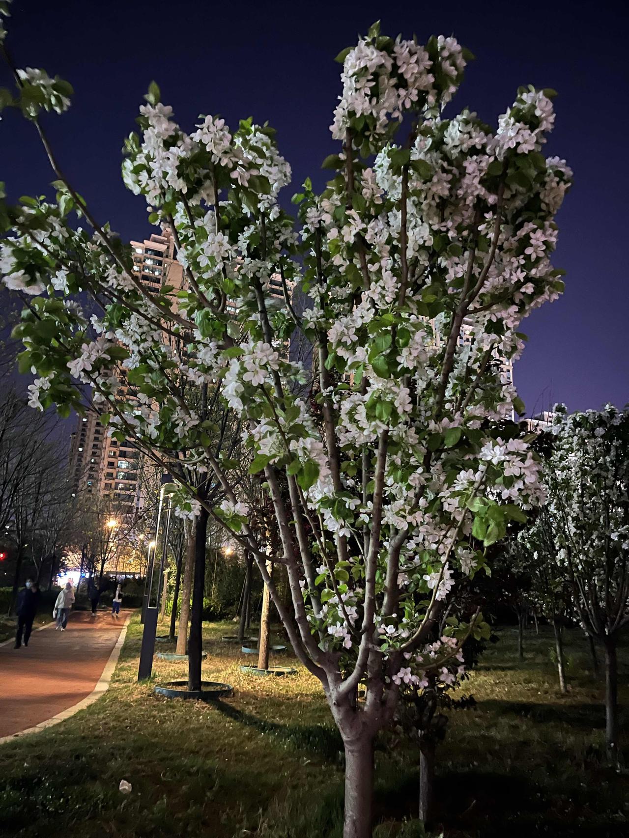 物理隔离那些消耗你的人和事，不必勉强合群，不必讨好谁。

每天留时间独处，关掉手