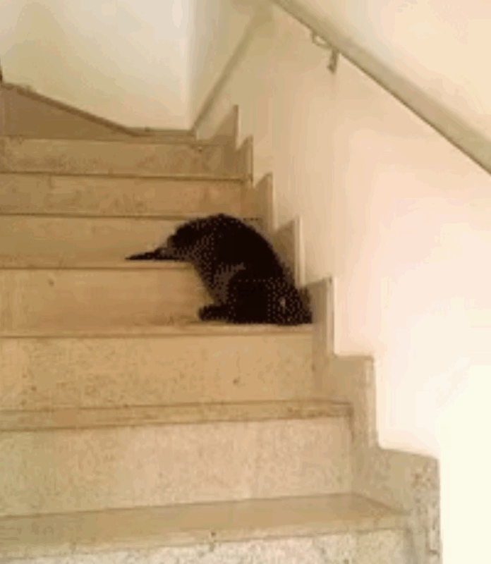 拒绝熬夜，今晚的瓜明儿再吃下钟…下线！ 