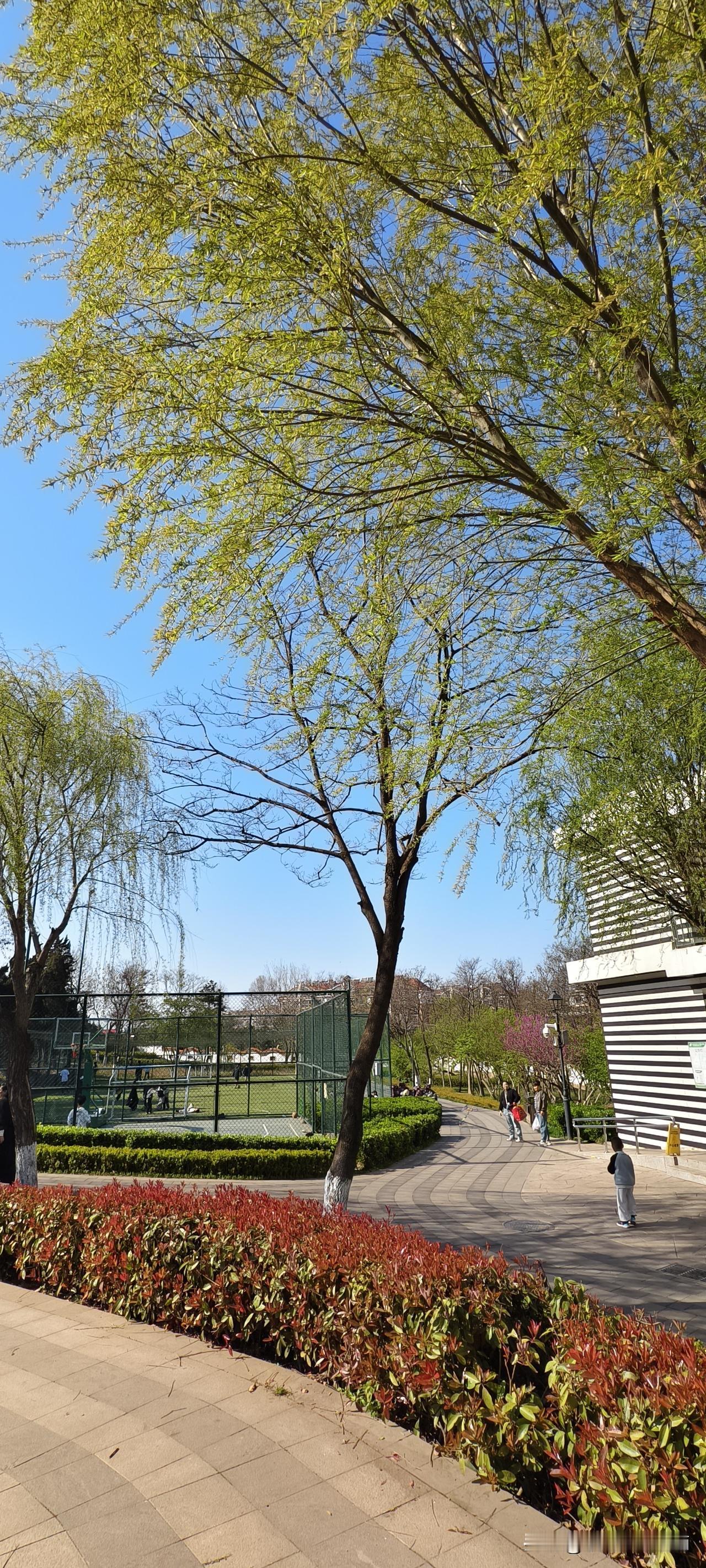 别做梦“视觉预演”了，你脑子里成功一万次，不如动手干一次

昨天一个新来的小孩跟