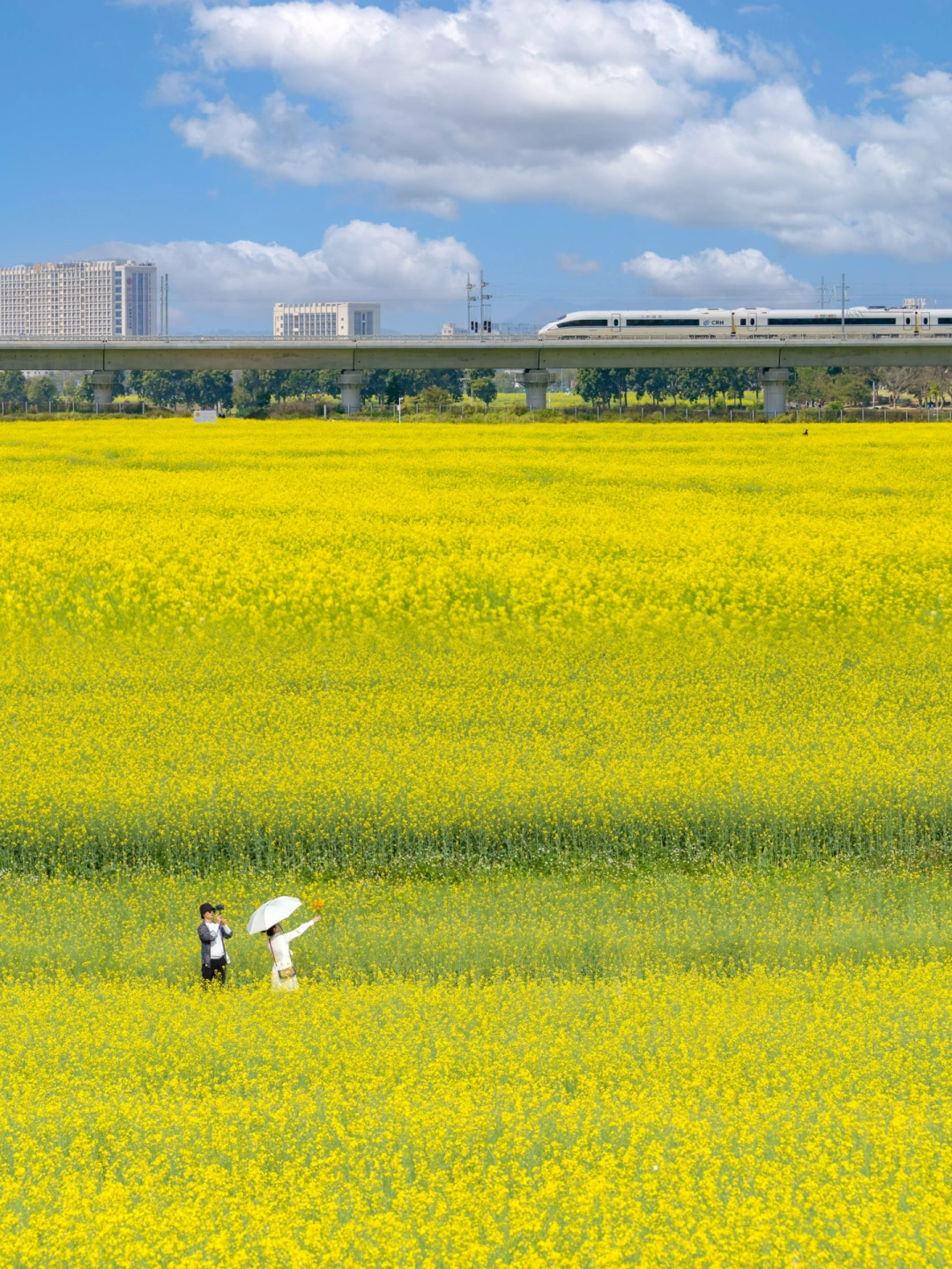 一不小心误入了宫崎骏的动漫‼️