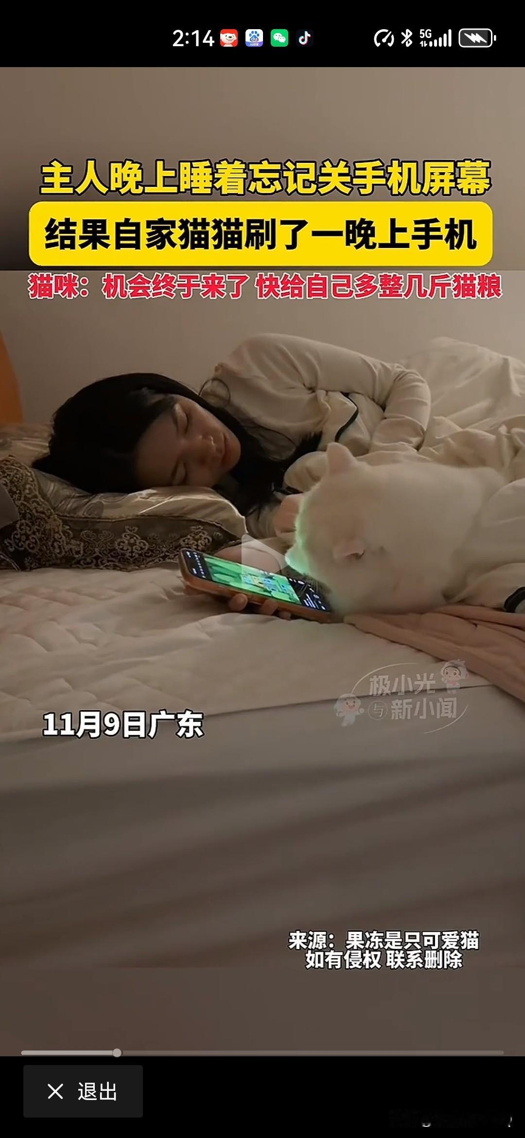 你家的小猫会不让你玩手机吗?猫咪趁主人睡着刷了一晚上手机！看着看着手机就睡着了，