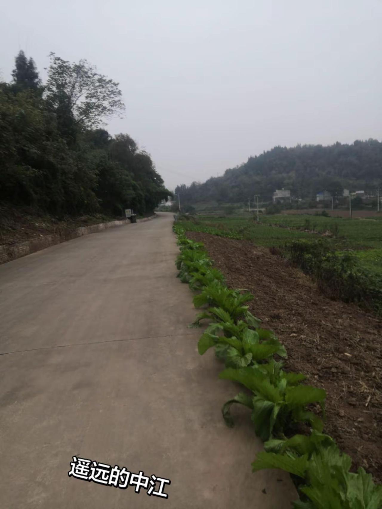 遥远的中江，美丽的家园我的乡村生活