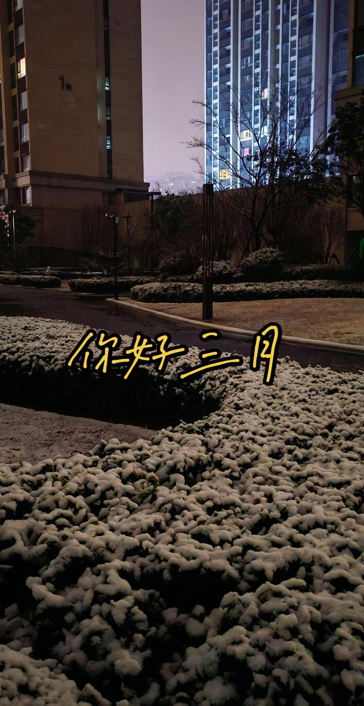 三月你好。夜景  雪  随拍