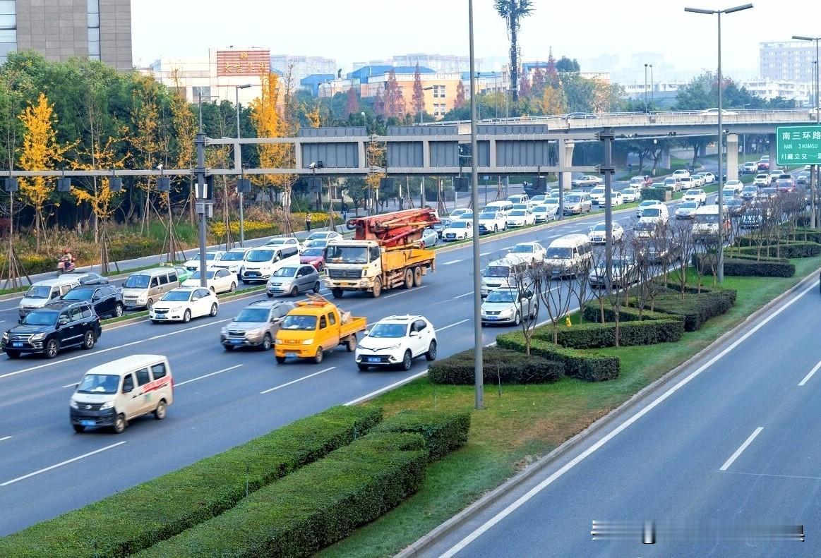 针对市民提出的燃油车单双号限行建议，成都相关部门明确回应暂不宜实施该措施，这一决