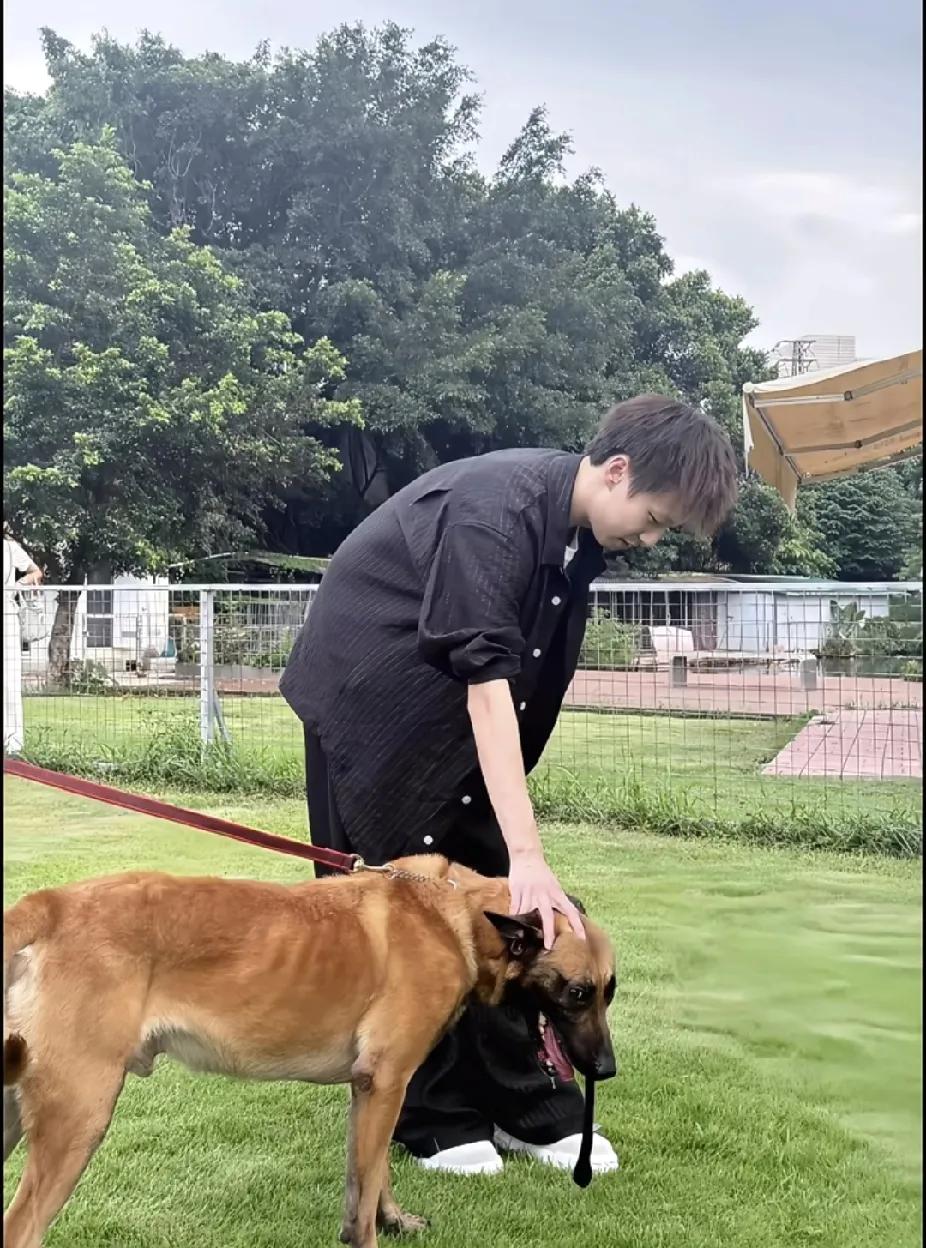 被林高远和狗狗这组图暖到啦🐶
 
谁懂！刷到林高远和狗狗互动的照片，瞬间被治愈