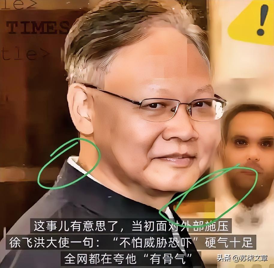 这事越琢磨越有意思。之前外头施压那会儿，徐飞洪大使直接放话不怕威胁恐吓，说话特别