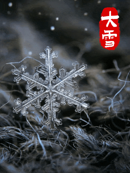 【#每一朵雪花都独一无二#】#大雪开启仲冬时节# #大雪#的到来，为仲冬时节徐徐