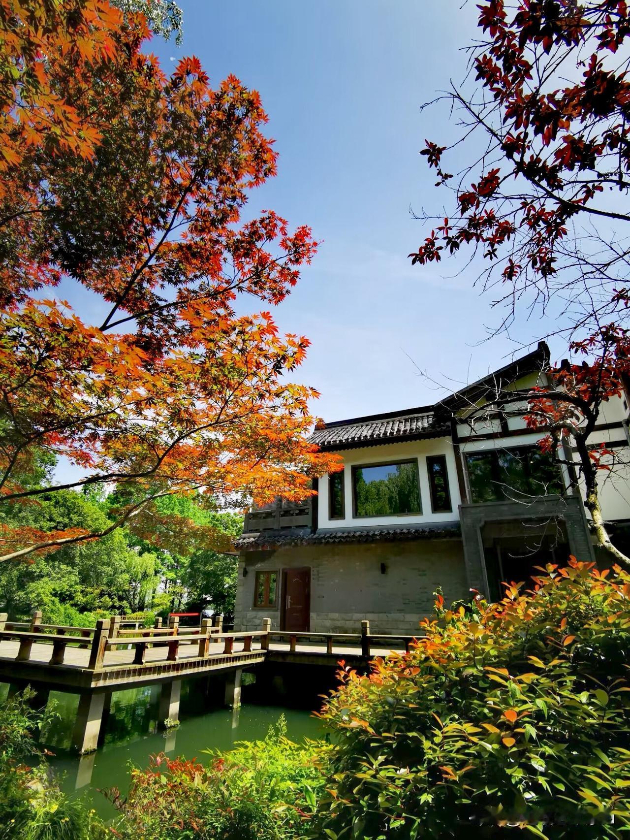 徒步赏景走进花港观鱼景区，边走边拍‌松鹤山庄‌，山庄位于‌杭州西湖花港观鱼公园内