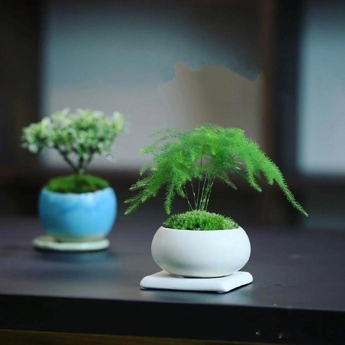  一花灼灼燃红韵，一叶青青漾碧波。无需浓墨重彩，这抹红情绿意，便点亮了时光，温柔