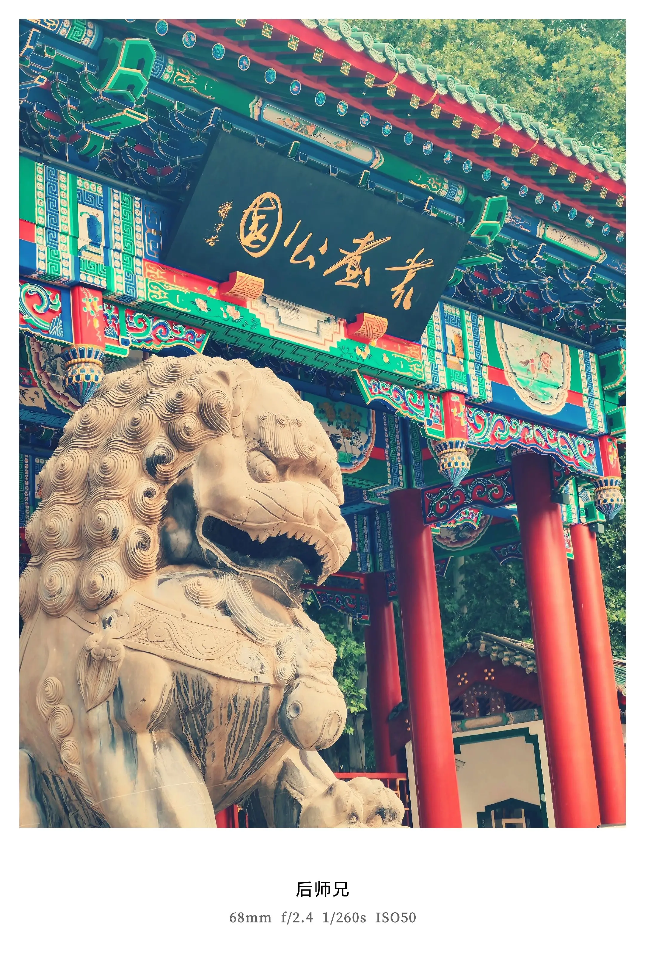 清晨的丛台公园抓拍一瞬，别具韵味！千年的故事，久违的情愫涌上心头。