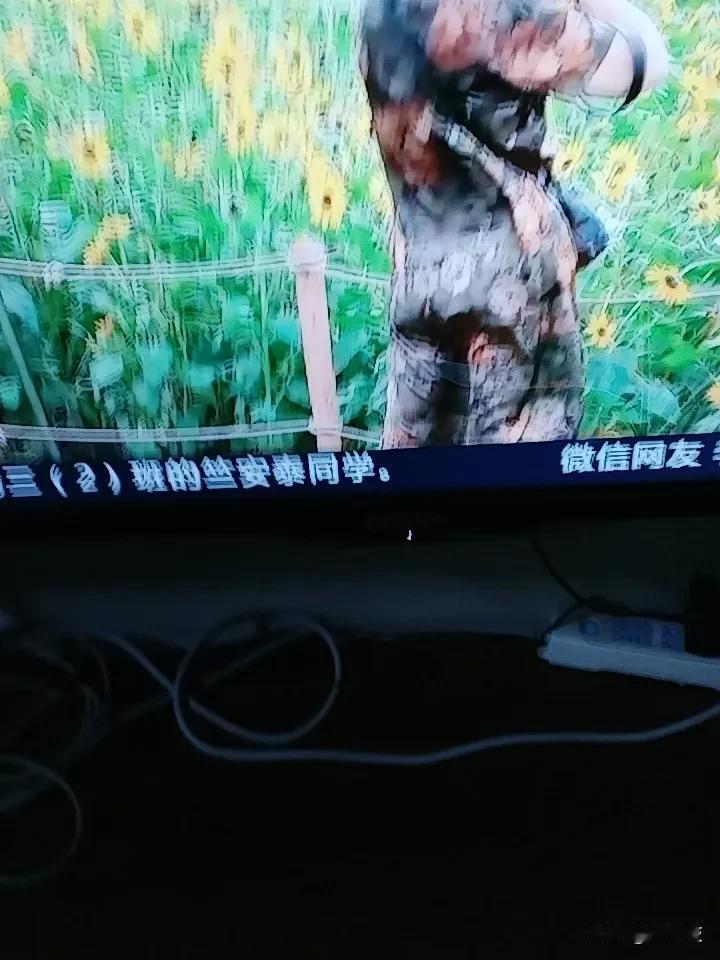 夏日就是一场生活的狂欢！7月14日，农历六月初一，伴着晨光醒来，把心情调成轻松模