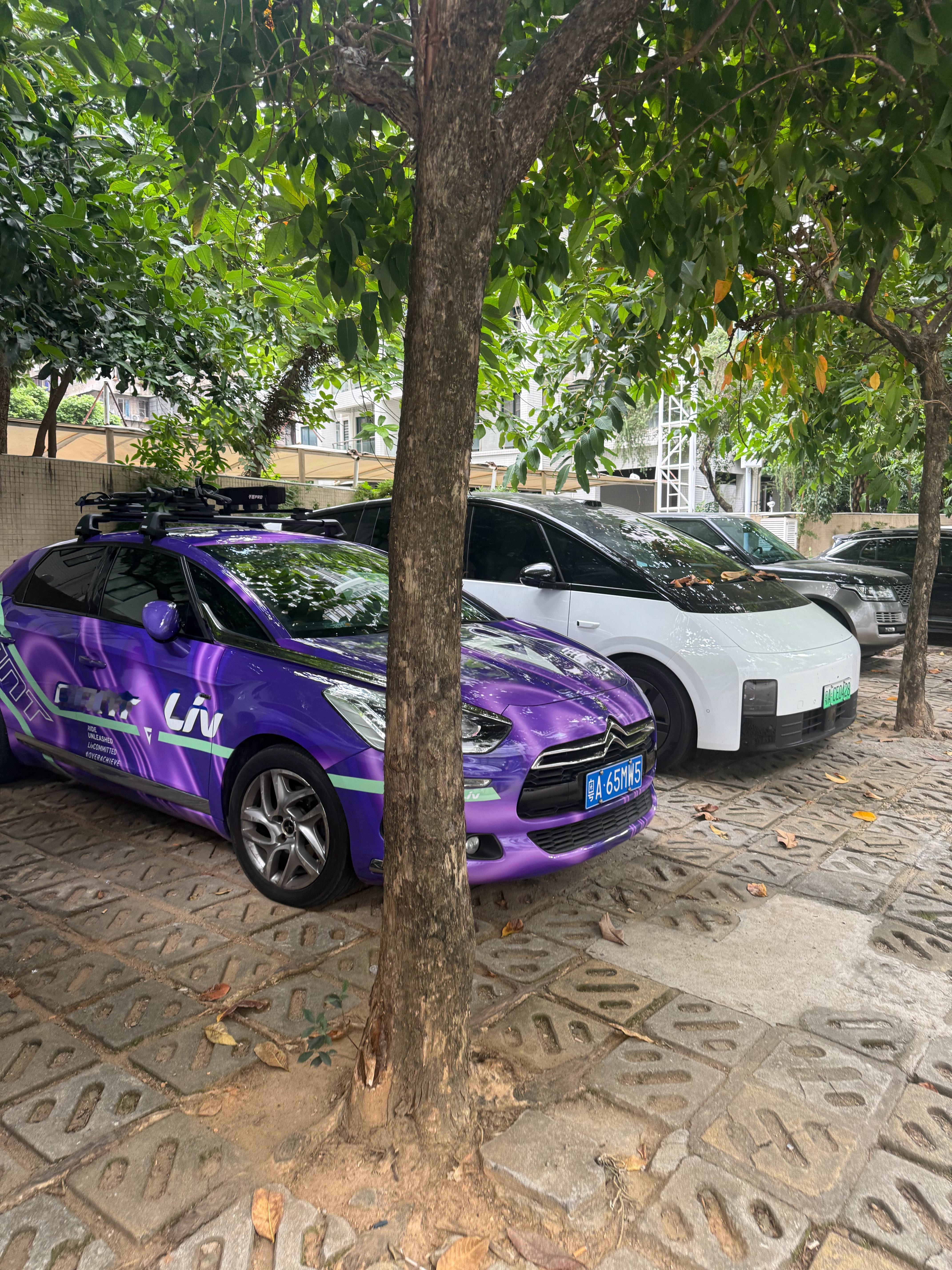 在这个角度看，DS的设计引领了时尚 