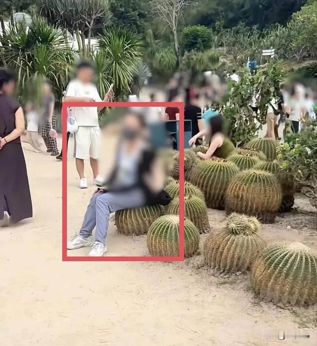 这人真是太累啦，一屁股坐在仙人球上，估计穿的衣服挺厚，要不然屁股扎坏了。
其实没