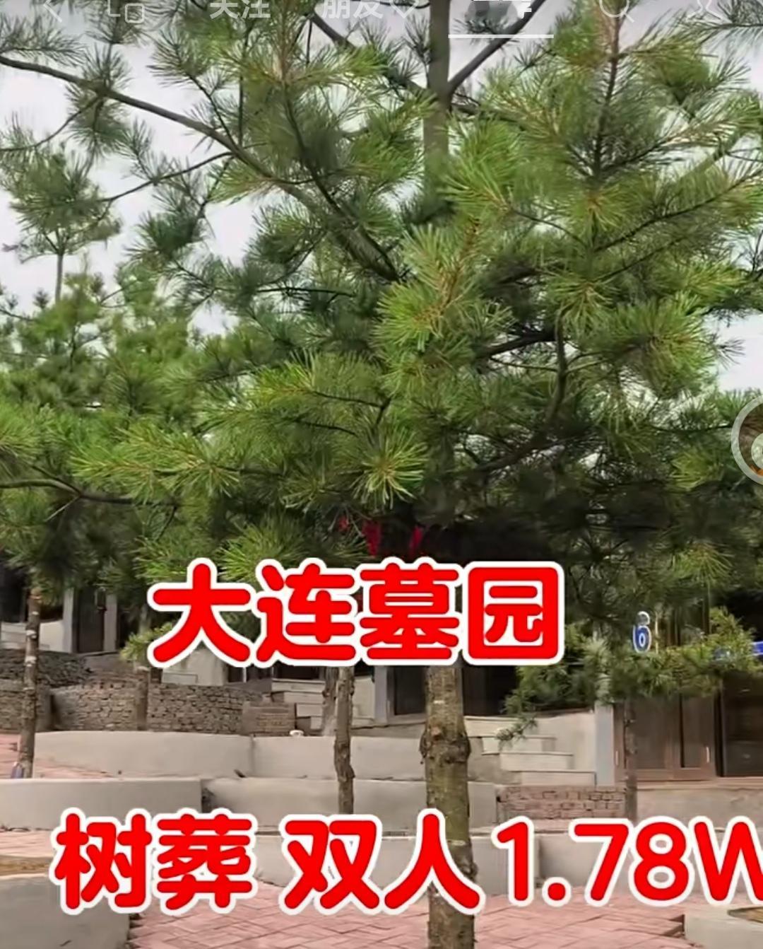 引发热议了！大连树葬墓穴，双人1.78W。你怎么看？
      树葬、花葬、海
