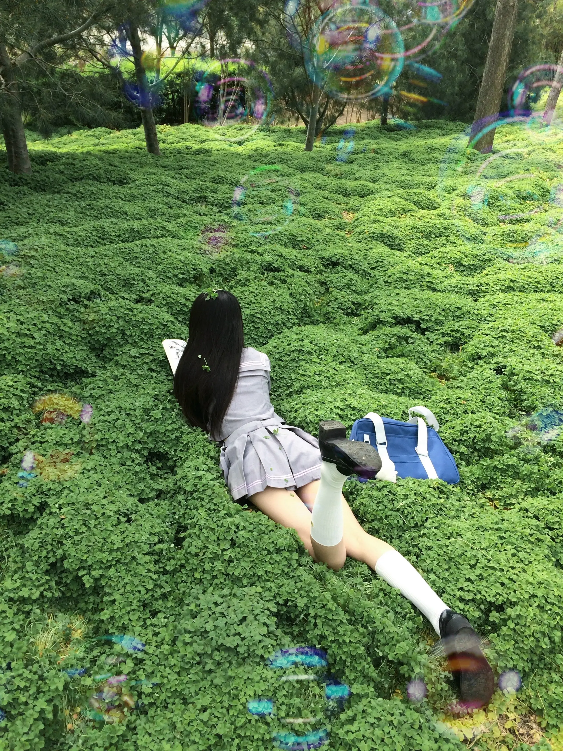 ₊⁺☘️ ☘︎ ˖ ⁺ 三叶草の花語是幸福˚ஐ⋆⑅˖ 幸福触手可及⁺✩