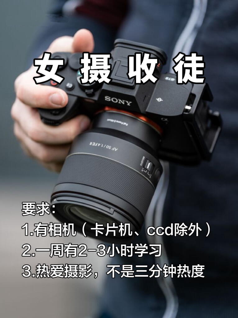 七月突然很想交人摄影😭