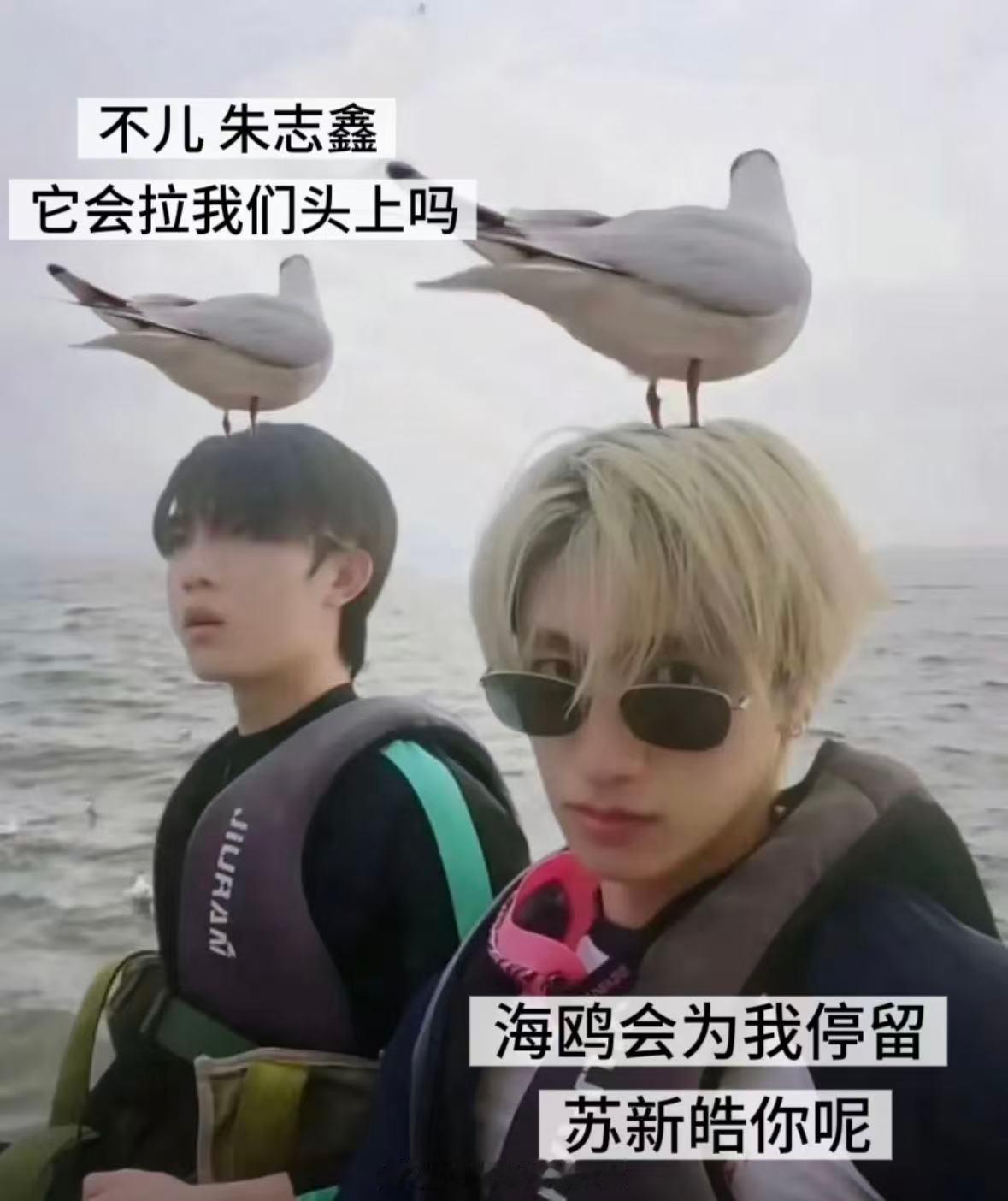 求助，谁有这张原图想做二周年打卡棒 
