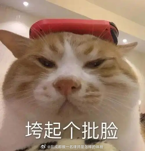 法院真的不是我家开的，当事人催着立案、催着保全，现在对方答应一个周之内付款，又让