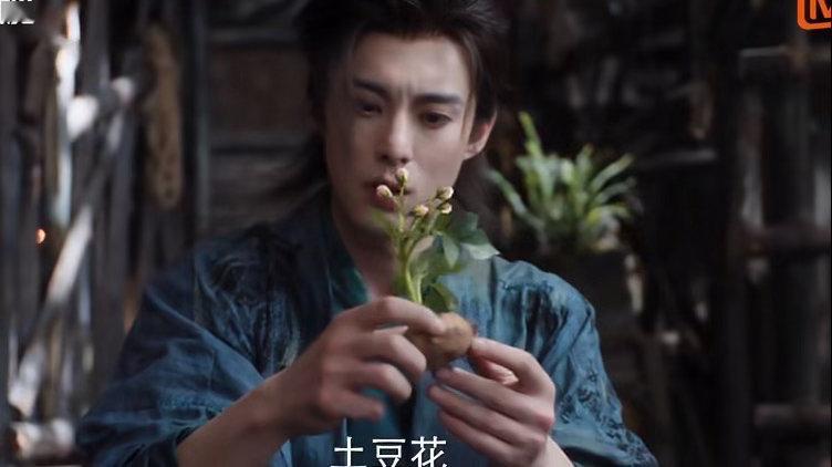 重生之王鹤棣在仙门种土豆王鹤棣麦大爷土豆仙你们举个叶谁懂啊！王鹤棣在仙门的新剧本