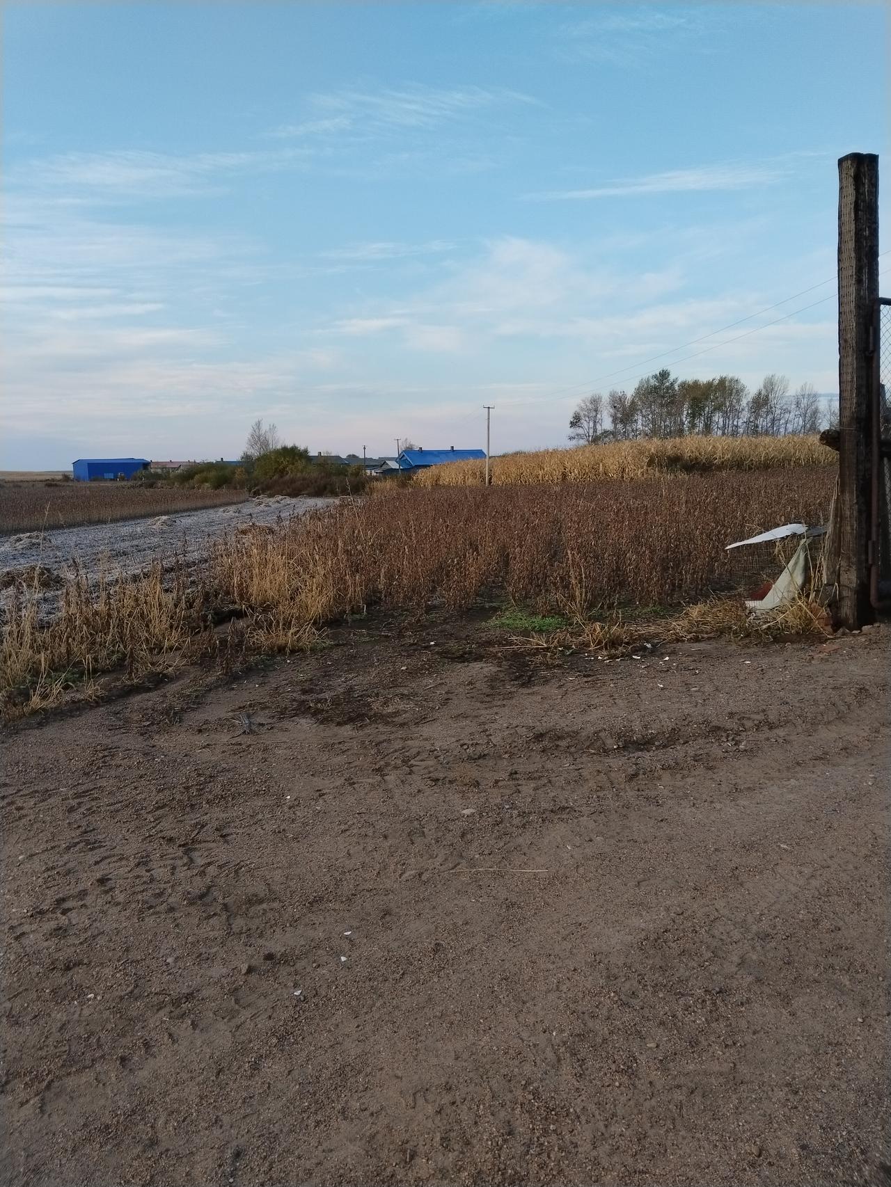 以下是今天有关战争的部分最新消息：

  • 泰柬边境冲突：12月7 - 12日