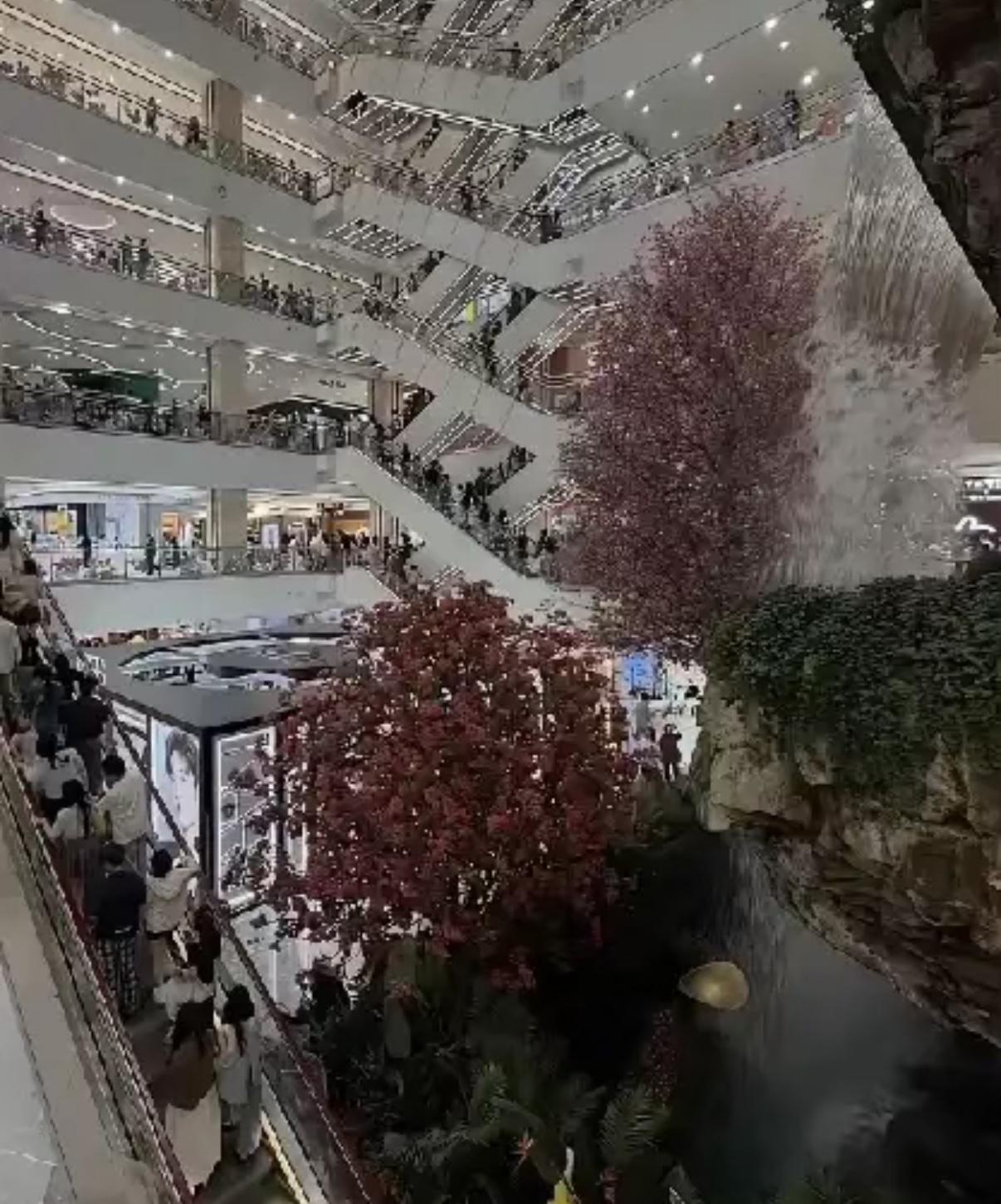 严总这一跳，在西安赛格闹出的动静确实不小。

400家门店的老板，在圈子里也算是