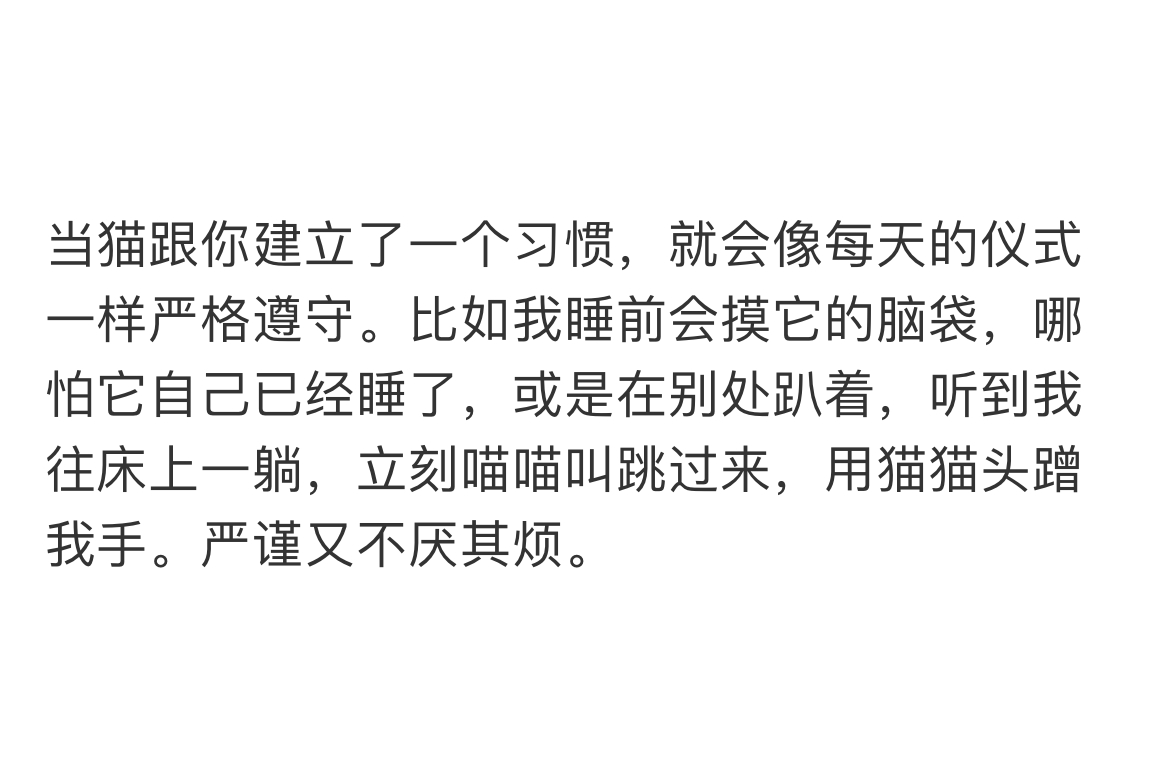 《当猫跟你建立了一个习惯》 ​​​