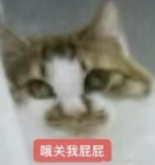 50000【非人类】 