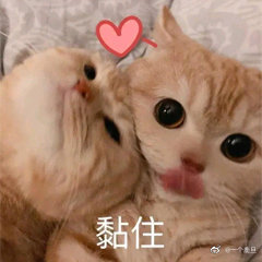 鹿晗五哈上海站录制结束辛苦了老公期待下一站尽快见面