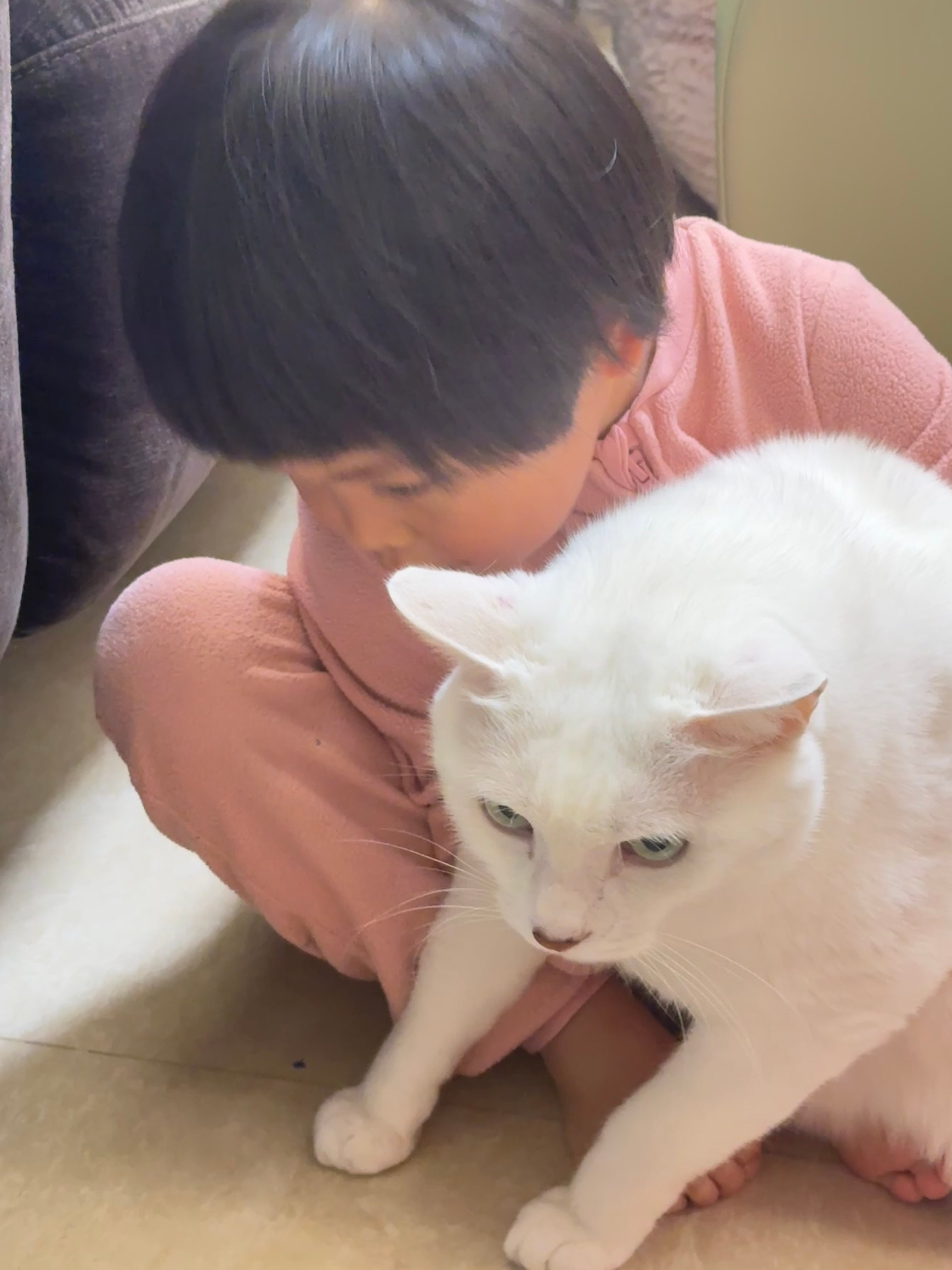 嫡：我也是猫，我也会累 