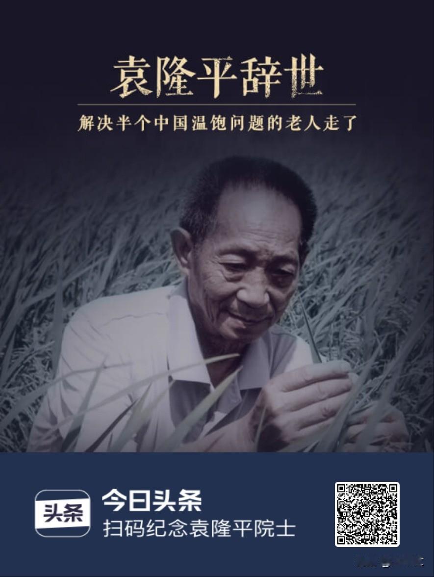 袁隆平逝世
饥饿是我们这个民族最深沉的一段记忆。
他的出现解决了半个中国的温饱问