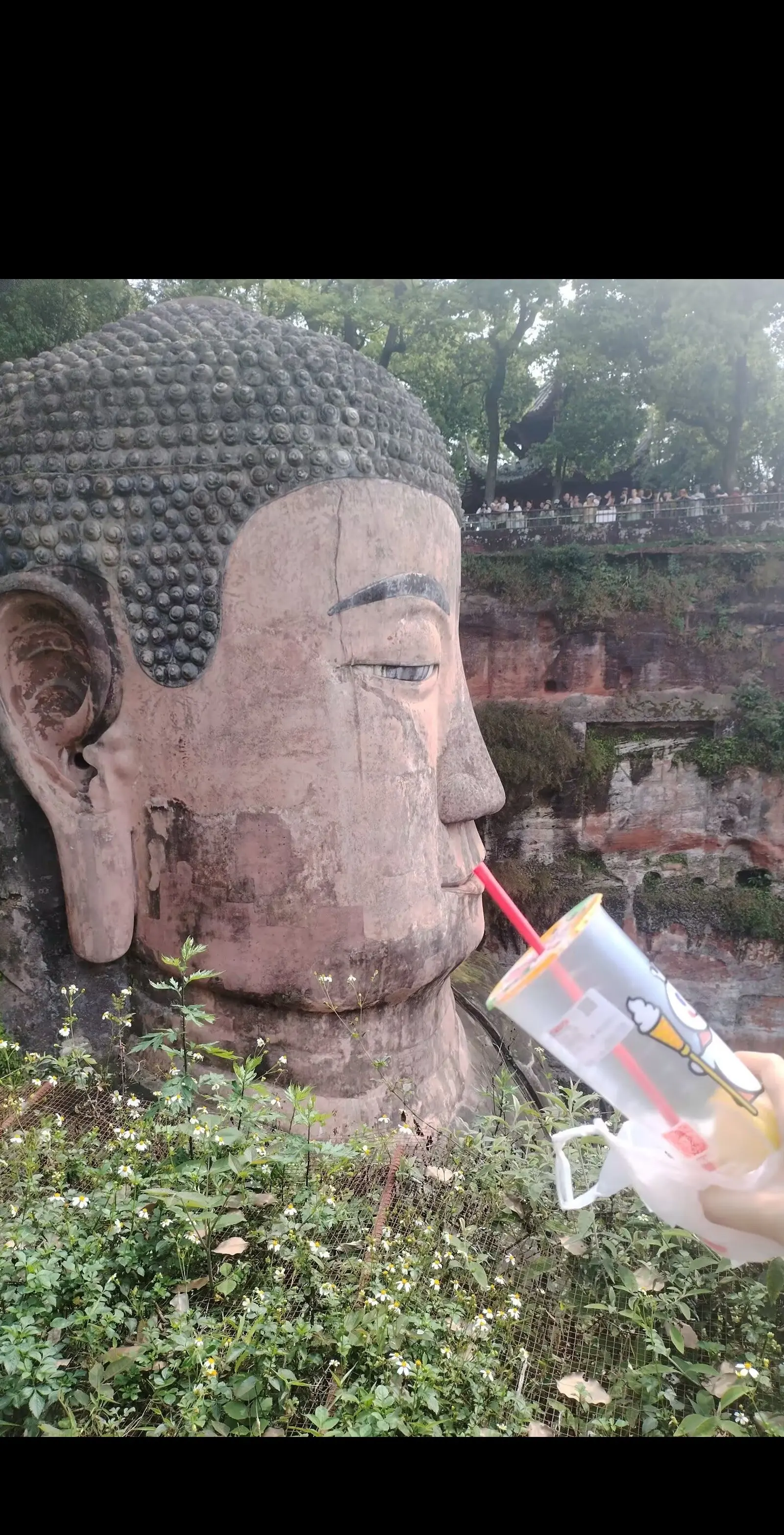 来乐山大佛玩，这件事真的必须做！