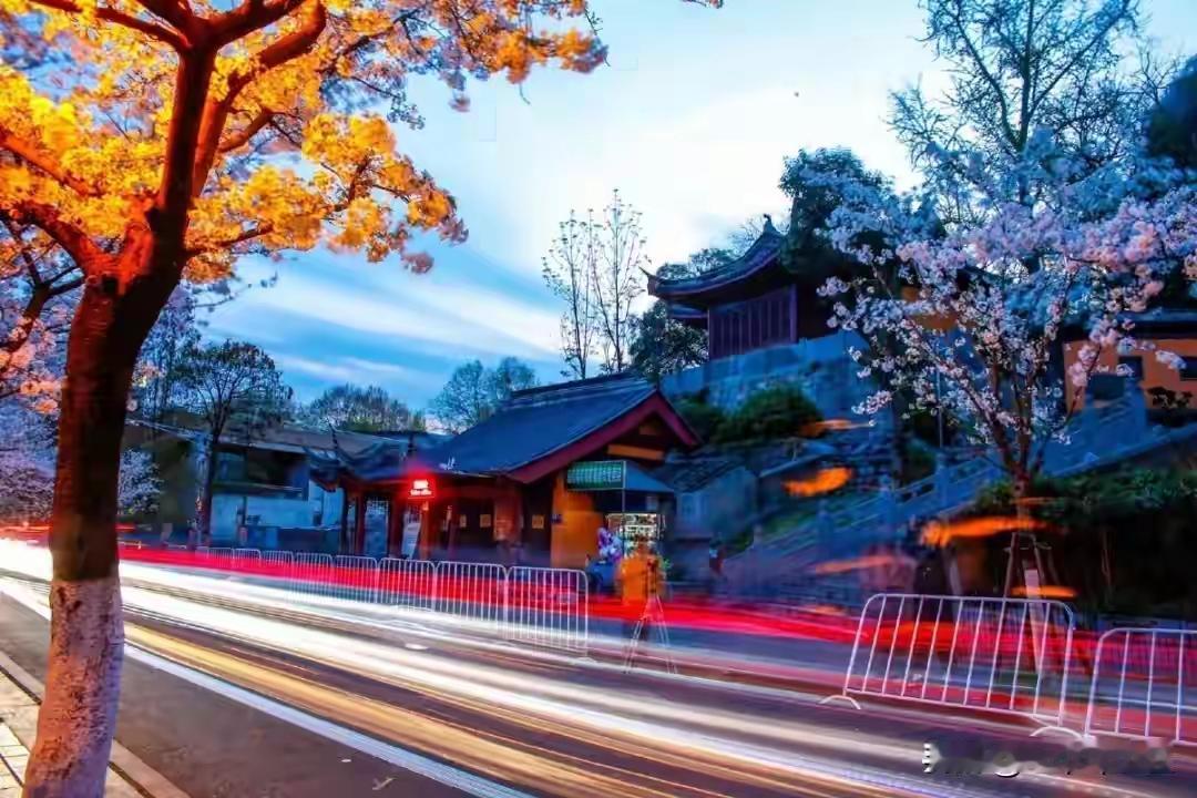 历史上，中国对日本多次展现宽容，但未让其付出应有代价，导致日本在博弈中肆无忌惮。