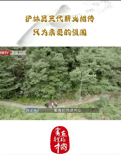 护林员三代守护祖国绿水青山   《书画里的中国》讲述陈必栋家族三代护林员几十年如